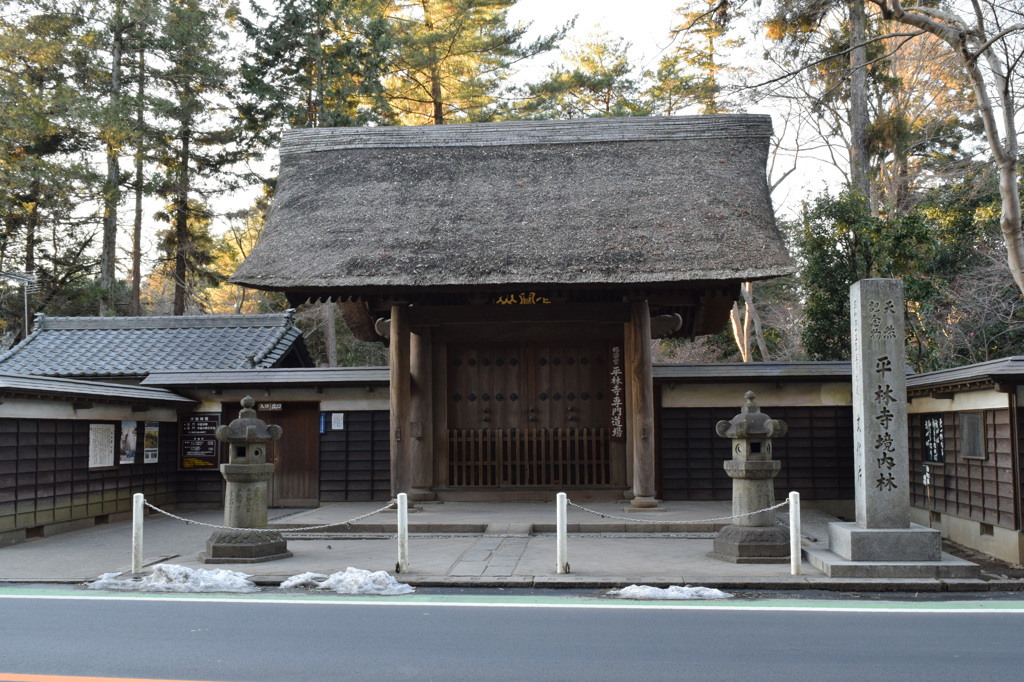 平林寺山門_1