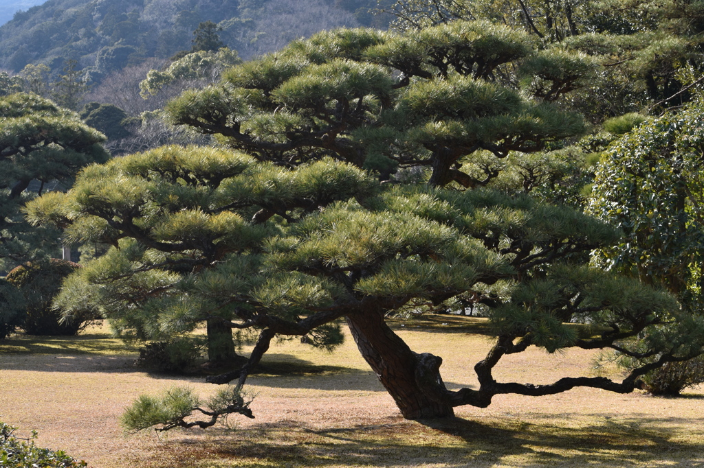 伊勢神宮にて・・・