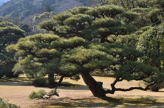 伊勢神宮にて・・・