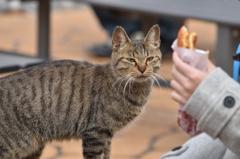 食べたいけど・・・