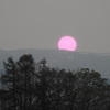 ピンクの太陽（夕陽）
