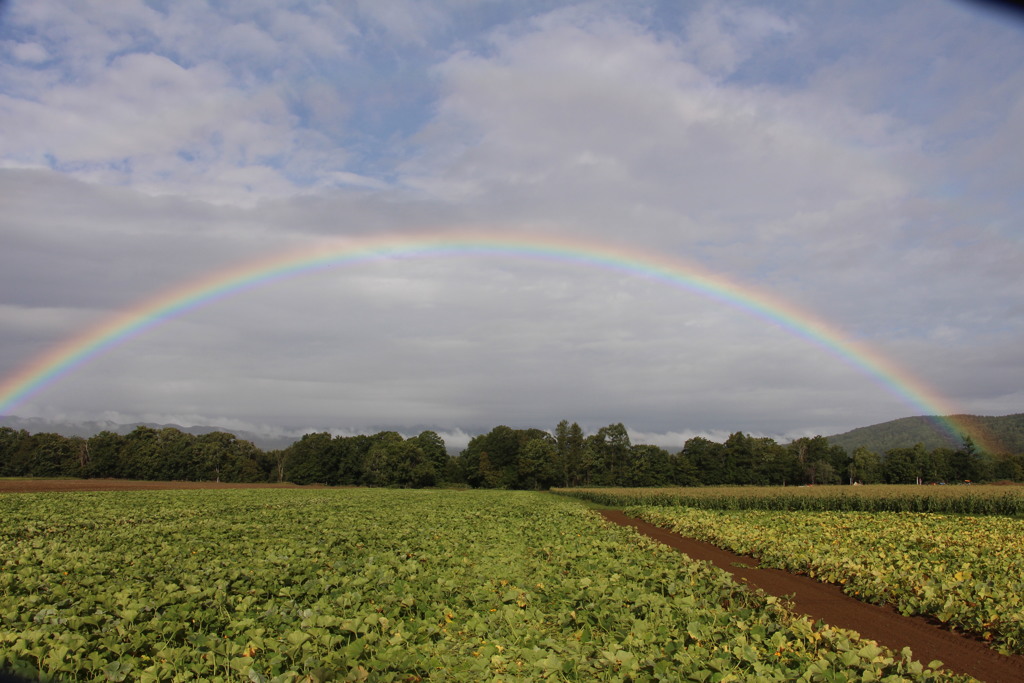 虹～full rainbow~