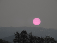 ピンクの太陽