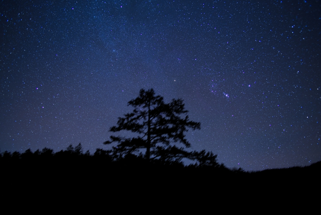 晩秋の空