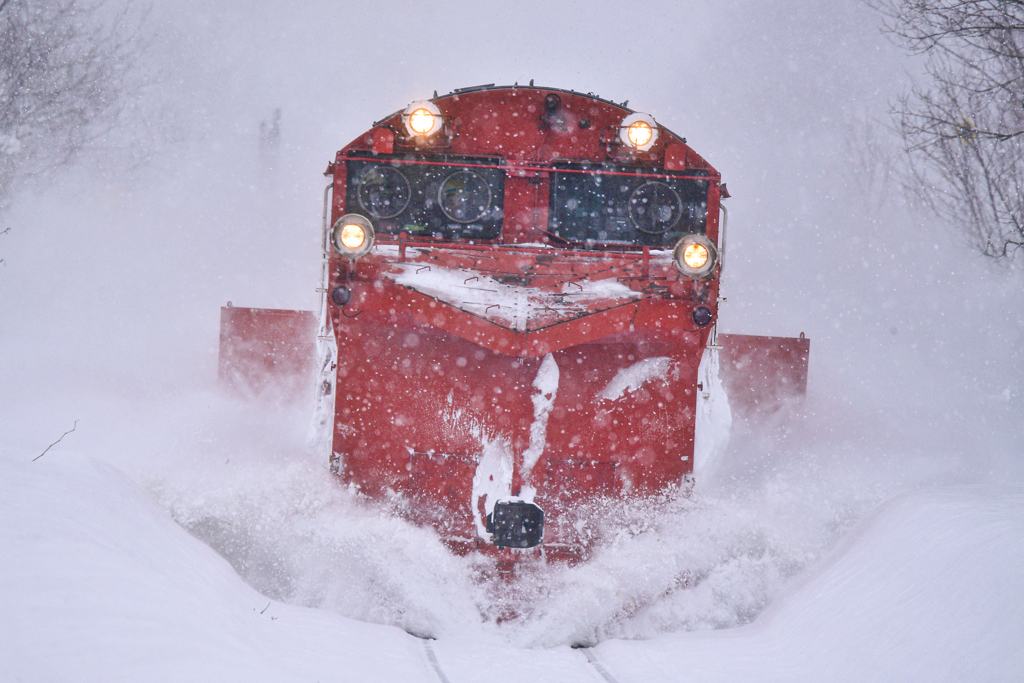 雪をかく