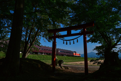 鳥居と共に
