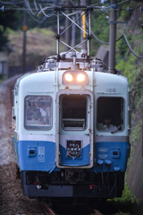 乗客の目の先には広い海