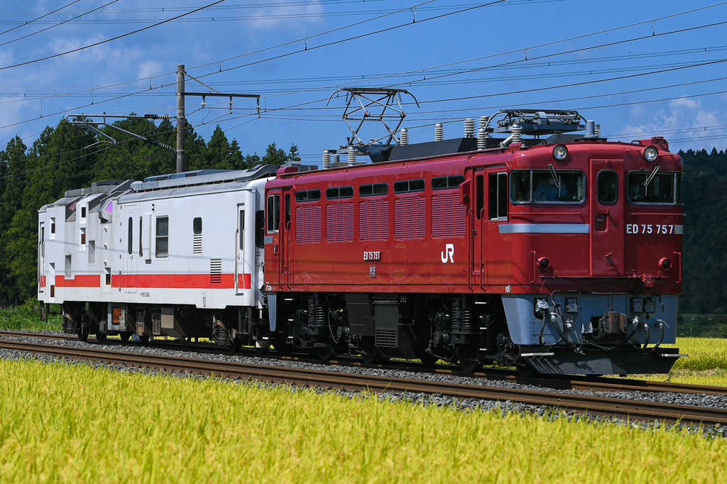 休日出勤
