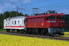 休日出勤
