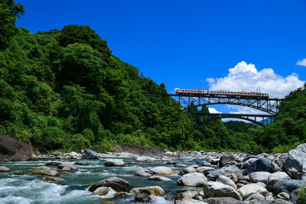 夏の到来