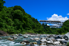 夏の到来