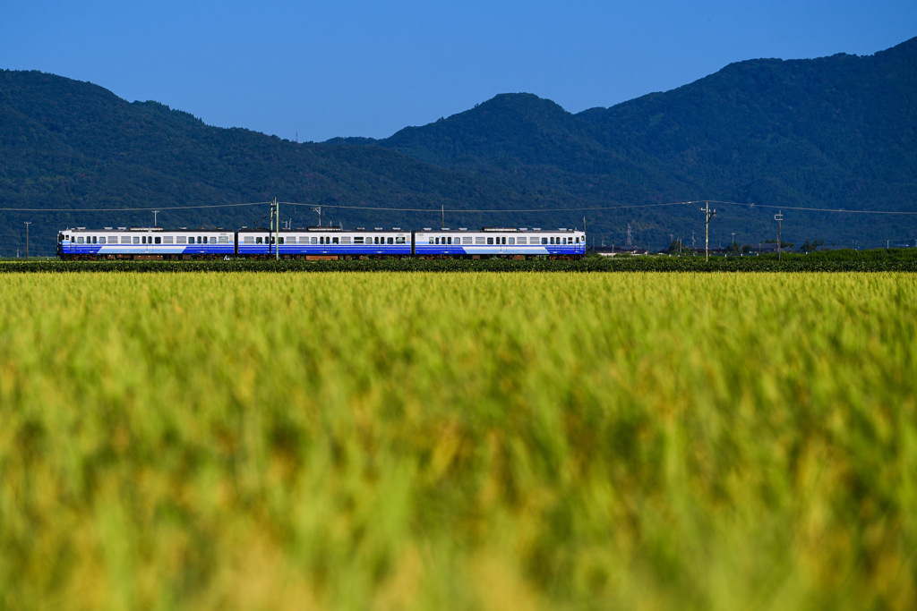 CLANNADであった様な無かった様な1シーン