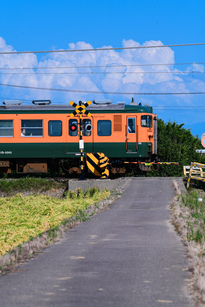 記録は後悔のないように