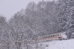 雪木