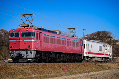 マヤ送り込み