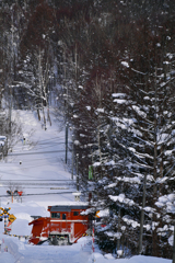 雪レ