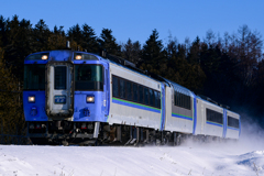 雪舞う