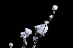 積雪