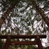 ひと気のない鳥居