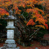 白鹿背山巨徳院 東光寺1