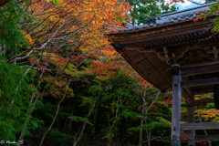 白鹿背山巨徳院 東光寺3