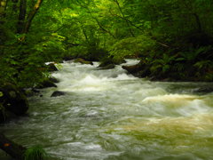 奥入瀬渓流