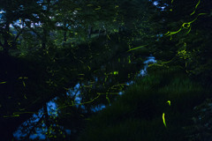 _DSC0285-HDR