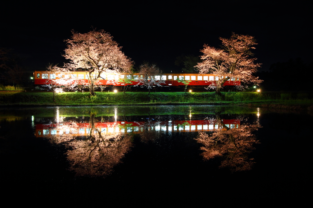 飯給駅の夜桜#1