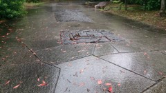 雨に濡れる石畳