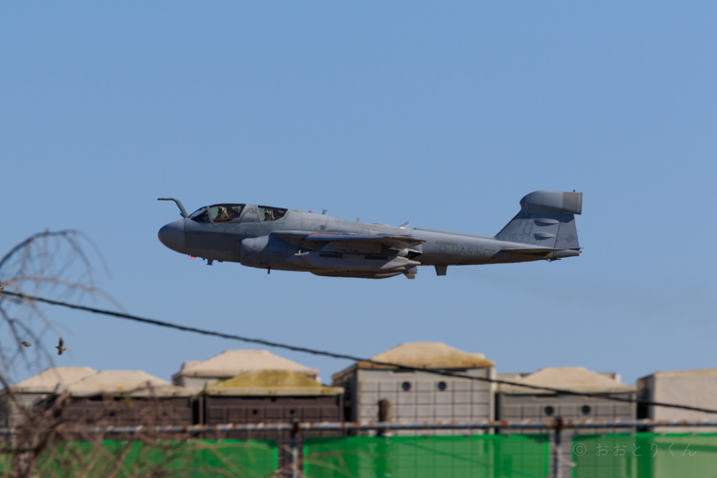 7D4A2847_lr