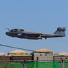 7D4A2847_lr