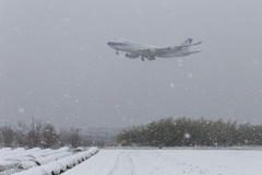 春の雪