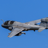 7D4A2893_lr