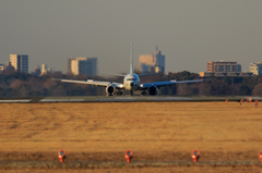 7D4A2982_lr