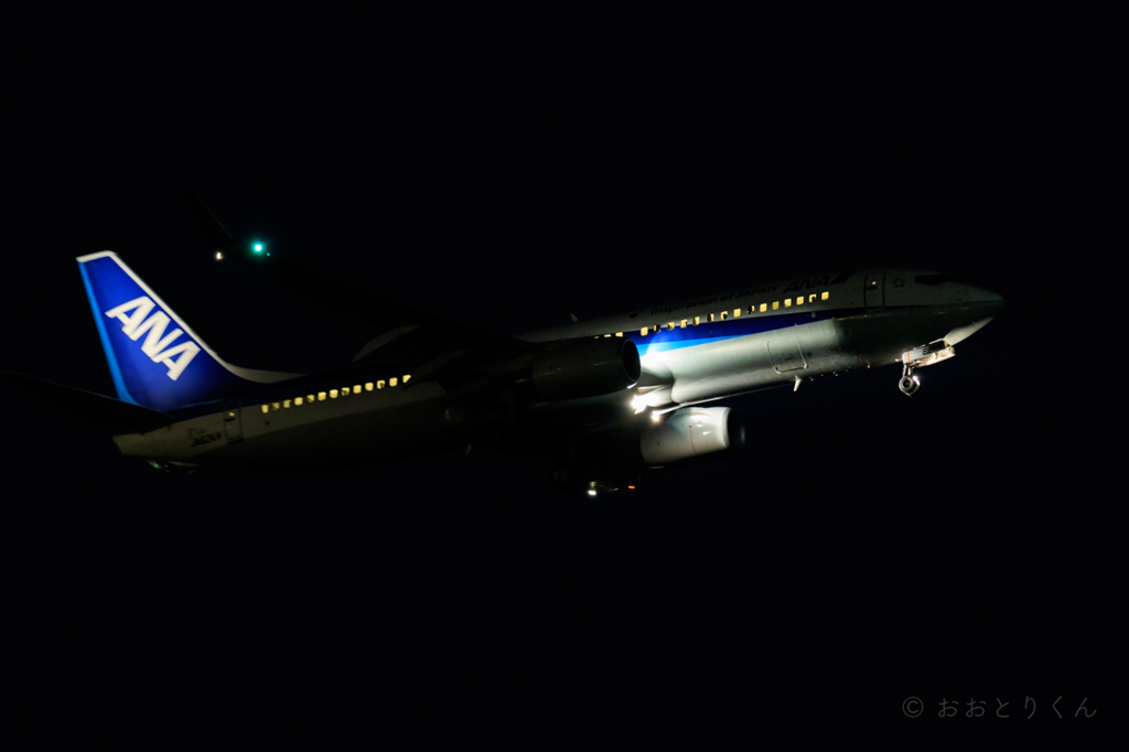 夜練＠城南島