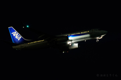 夜練＠城南島
