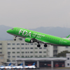 FDA（みどり）　ブルーインパルスと