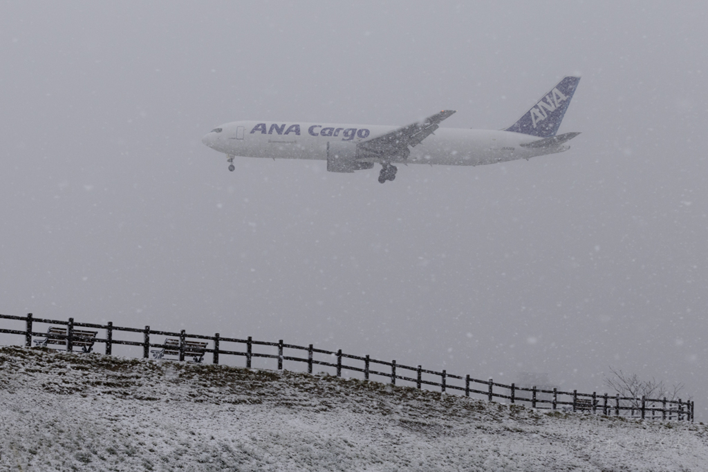 春の雪 RJAA
