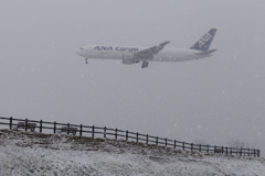 春の雪 RJAA