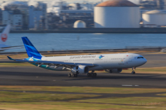 A330＠朝練