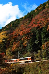 叡山電車と紅葉