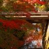 秋の哲学の道