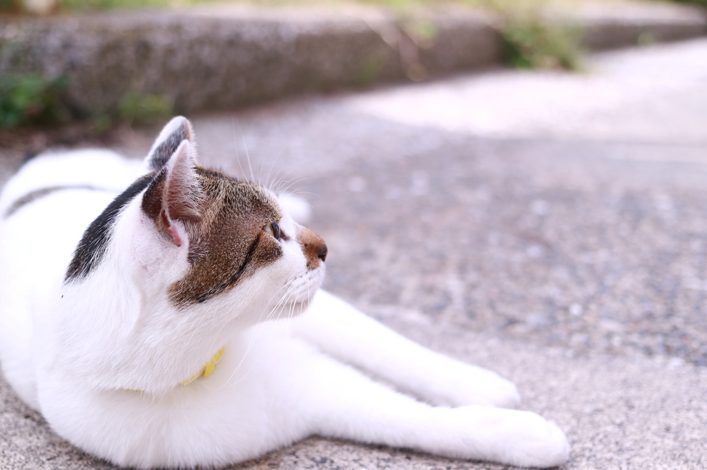 一休み