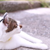 一休み