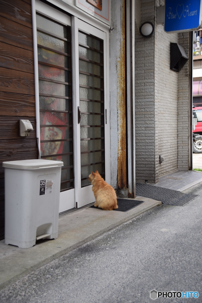 開店待ち