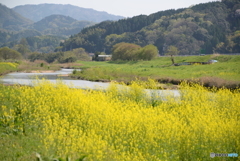 春の小川は～