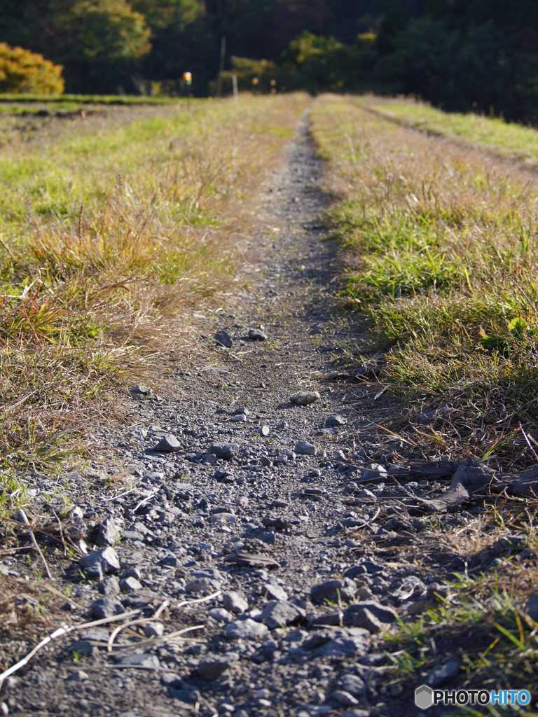 田んぼ道