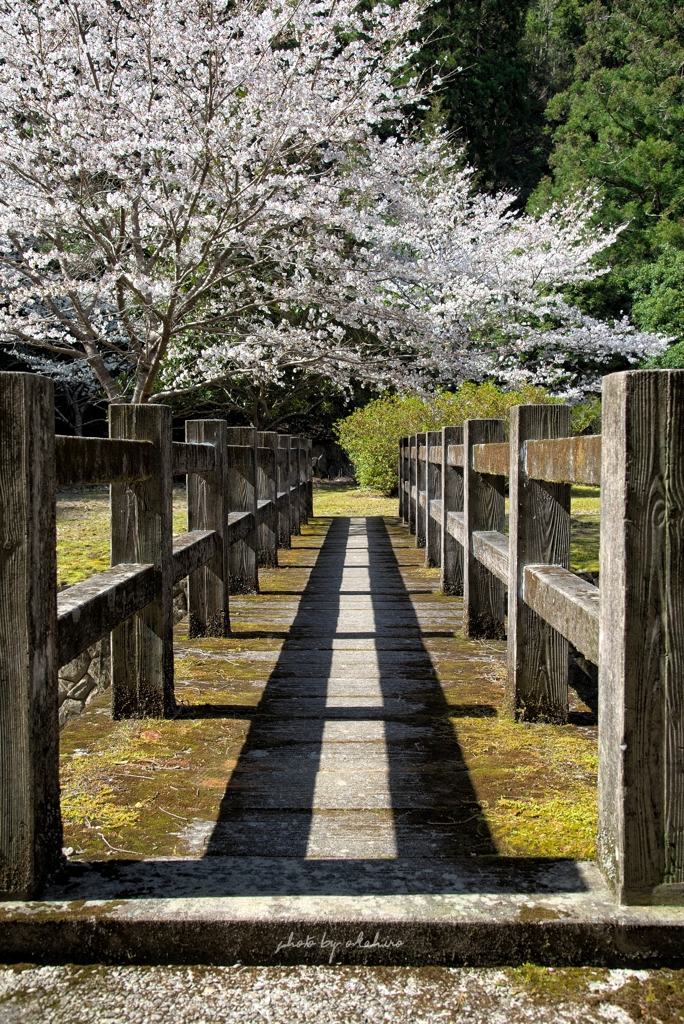 橋