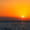 いつかの夕陽