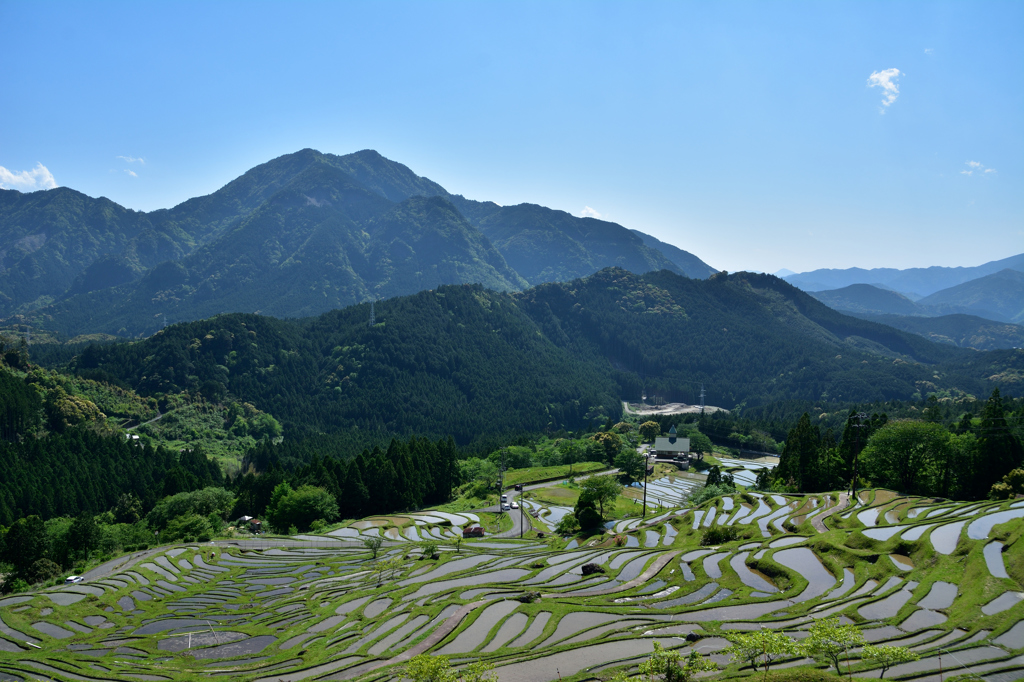 丸山千枚田_2